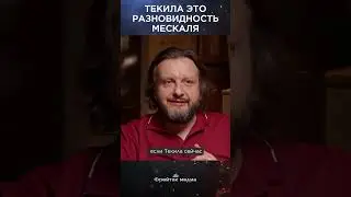 Текила - это разновидность мескаля | Виски клуб #shorts