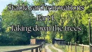 STABLE YARD RENOVATIONS - PART 1 - TAKING DOWN MORE TREES FROM AROUND THE HORSES STABLES 