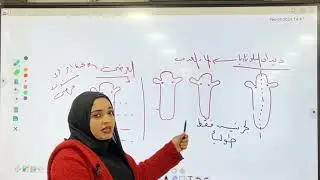 شرح التكاثر اللاجنسى بالتبرعم و التجدد | الجزء الثاني | الصف الثالث الثانوي
