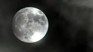Таҥхалааһын туох дьайыылааҕый?