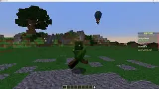 Hypixel Housing Leveling System
