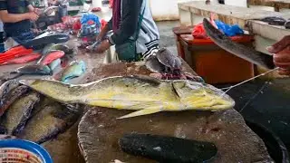 AWESOME CUTTING SKILLS || GIANT DORADO FISH CUTTING ACEHNESE SEAFOOD