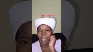 Ngai ti nyama