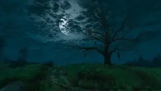 Witcher 3 Ambience - Velen at night