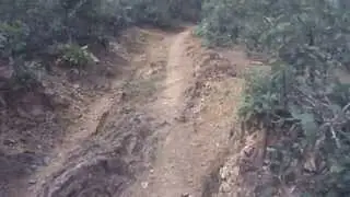 Disciples of Dirt