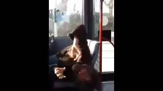Bekloppter mann im Bus teil 2