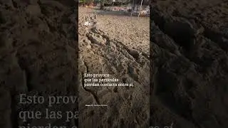 &iquest;Por Qu&eacute; se Forman Surcos en la Playa Despu&eacute;s de un Sismo?