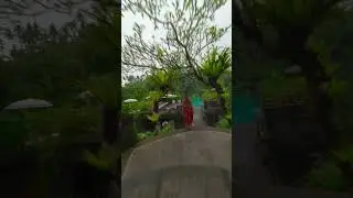 Enchanthing Scenery at The Kayon Resort Ubud