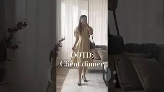 My perfect fancy-but-work-appropriate dress for special client events. IG @lizanitylookbook