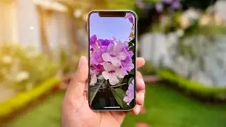 iPhone 12 mini Detailed Camera Review in 2025