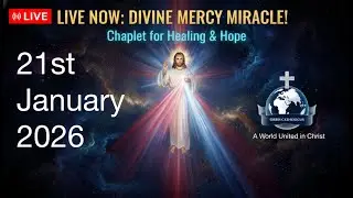 21st January 2026 - 🙏 Divine Mercy Chaplet | Live Catholic Prayer - 3pm GMT