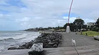 DND Dog Walk 190 The Wind Wand ⭐⭐⭐⭐⭐