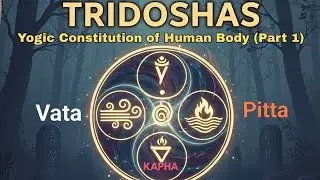 Know the Yogic Constitution of your Body. Tridoshas in Yoga. Yoga and Ayurveda | #ayurveda #health 