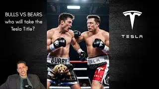 Bulls vs Bears BATTLE: Burry&rsquo;s $500M+ Tesla Short Is BACK - Will TESLA PLUNGE or LUNGE?