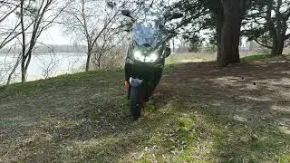 yamaha majesty 155s