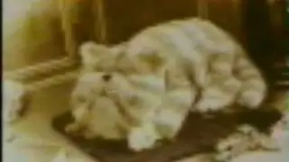 Bagpuss - The Hamish Part 1