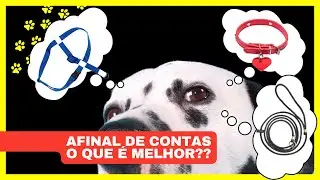 PEITORAL, COLEIRA OU GUIA UNIFICADA ?? | Descubra qual o melhor pro seu cachorro