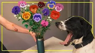 FLOWERS 🌸💐
