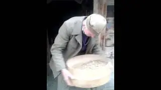 ISIDOR- STAVALJ
