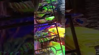 Danda nacha sarapa sahi Radha silu Bhai