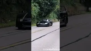 F40 Rolls By - Crowd Goes Wild 🖤🔥 #ferrari #f40 #shorts