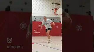 Laura Hauge | Elevate Skills Development | training session