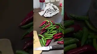 Chiliernte. Like it hot! Chilipulver selber machen. Capsaicin. Selbstgemacht