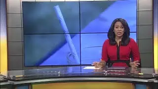Aardvark Paper Drinking Straws