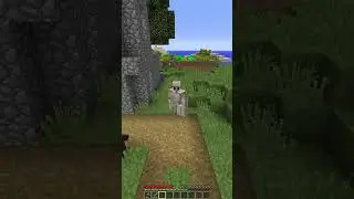 This Minecraft Iron Golem Has Had ENOUGH 😭 #Shorts