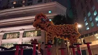 Finch KL - Acrobatic Lion Dance 2022