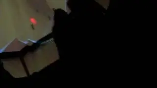 SDC13329