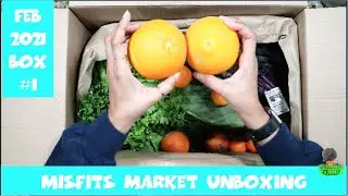 Misfits Market Unboxing - FEB 2021 #1 - Bi-weekly || My 24th $22 Mischief Box || Steffanie&rsquo;s Journey