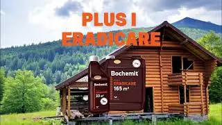 Solutie eradicare insecte Bochemit Plus I -  scapa de insectele  care ataca lemnul.Efect preventiv.
