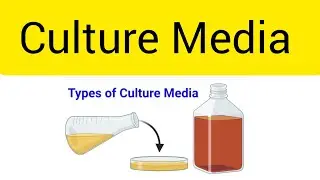 Culture Media  [ Microbiology] Lac 09.
