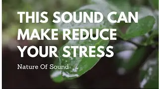Rain Sounds with Viola And Piano Music deep Sleep, Study, Relaxing, Reduce Stress, insomnia