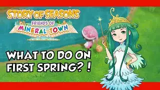 Story of Season friends of mineral town - What to do in First Spring!?