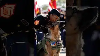 Realistic ceremony video with a military handler comforting a dog during an award presentation