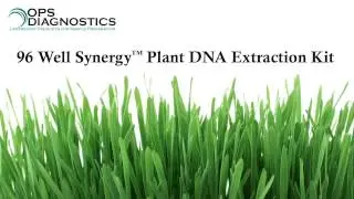 96 Well Synergy&trade; Plant DNA Extraction Kit