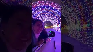 Borealis Lights Christmas Drive-Thru Holiday Light Display #shorts