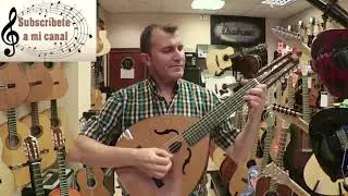 Sonido del La&uacute;d 🎵🎶