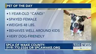 Pet of the Day for April 5, 2024