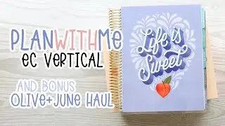 PLAN WITH ME + OLIVE & JUNE HAUL | Erin Condren Vertical | HanCanPlan