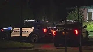 MultCo DA prosecuting 36 gun-related  crimes