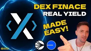 DEX FINANCE ПЕЧАТАЕТ РЕАЛЬНУЮ ДОХОДНОСТЬ 💸 (Облигации + Хранилища = DeFi 3.0)