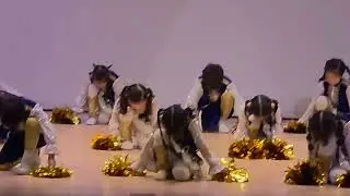 입장