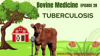EP 28: Tuberculosis in Cattle | Causes, Diagnosis & Control Explained | Pet Care Partners