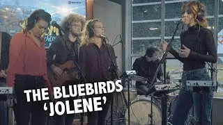 The BlueBirds - 'Jolene' (Dolly Parton cover) live @ Ekdom In De Ochtend