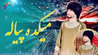Meraj Wafa New Song #viral #viralvideo #love #song #موسیقی #آهنگ  |معراج وفا آهنگ جدید می کده پیاله