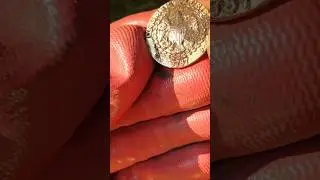 $2000000 Gold Brasher Doubloon