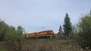 Dual EMD GP38's︱CORP 2066 Leads white city job ︱4/16/2024